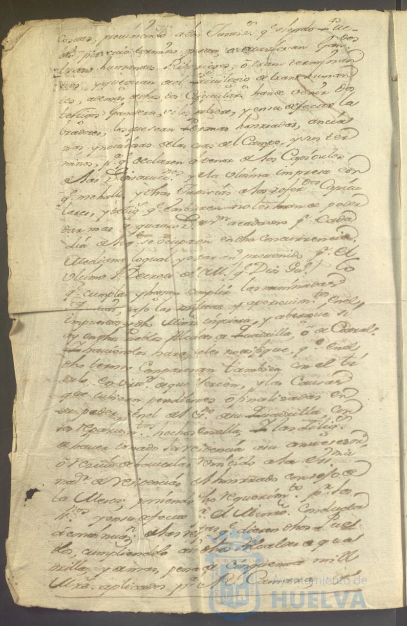 * Image 7