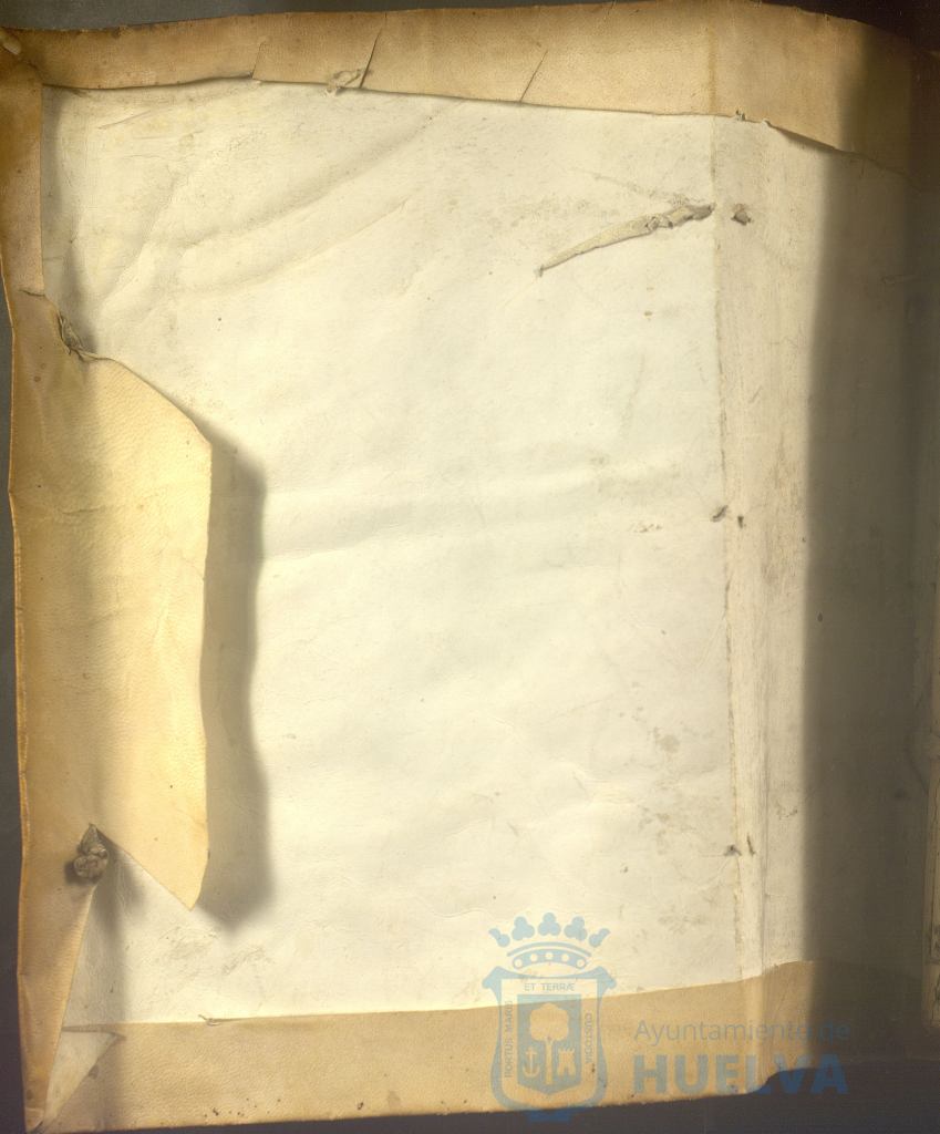 * Image 3