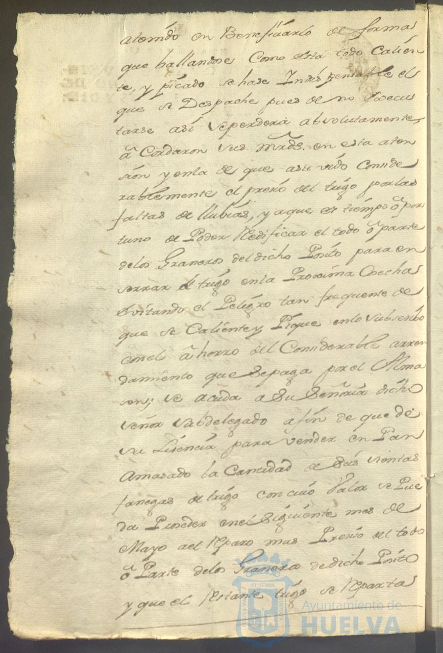 * Image 37