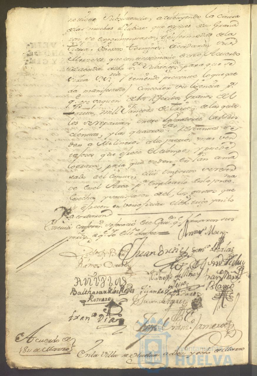 * Image 19