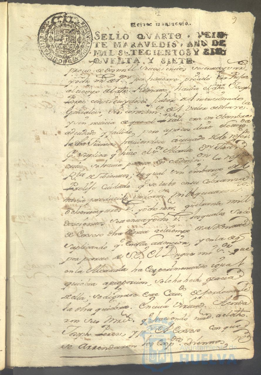 * Image 22