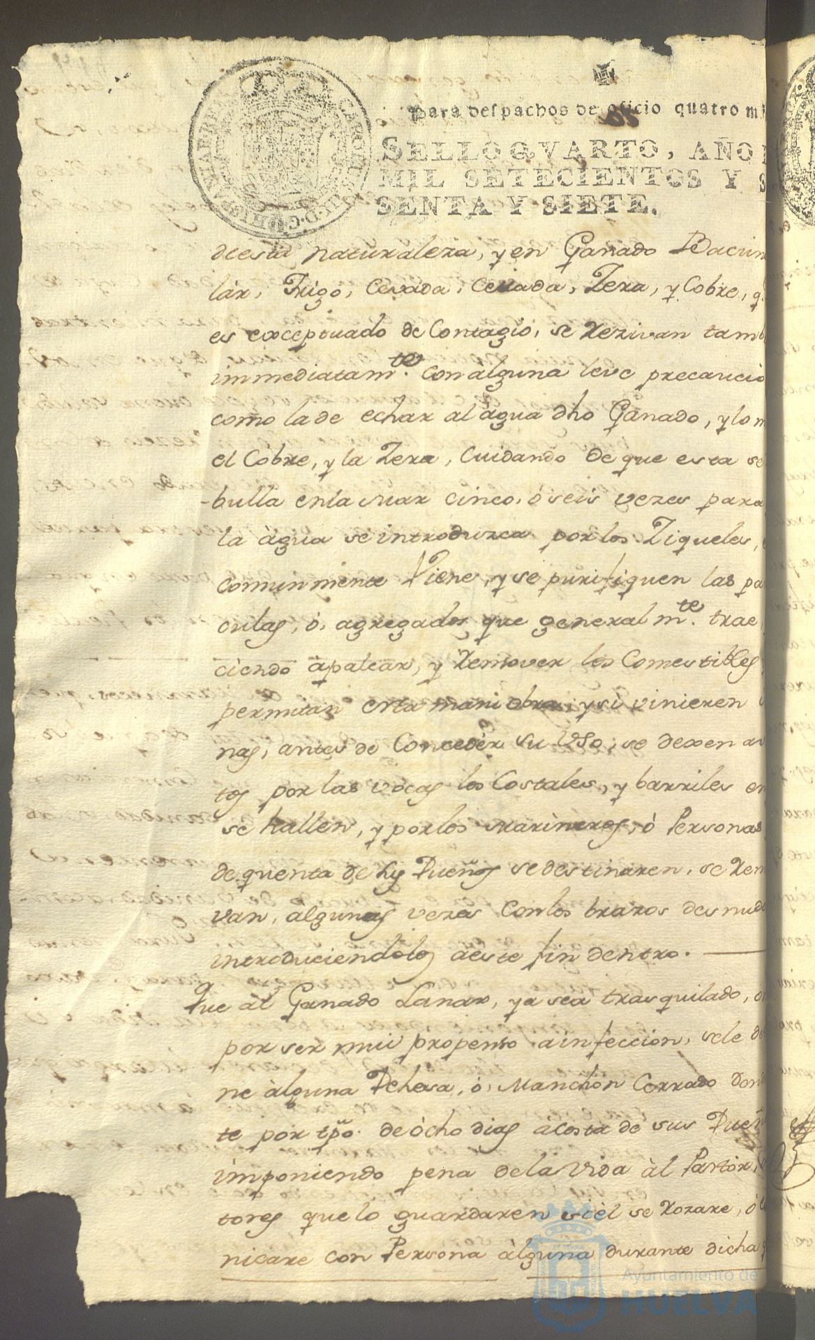 * Image 719