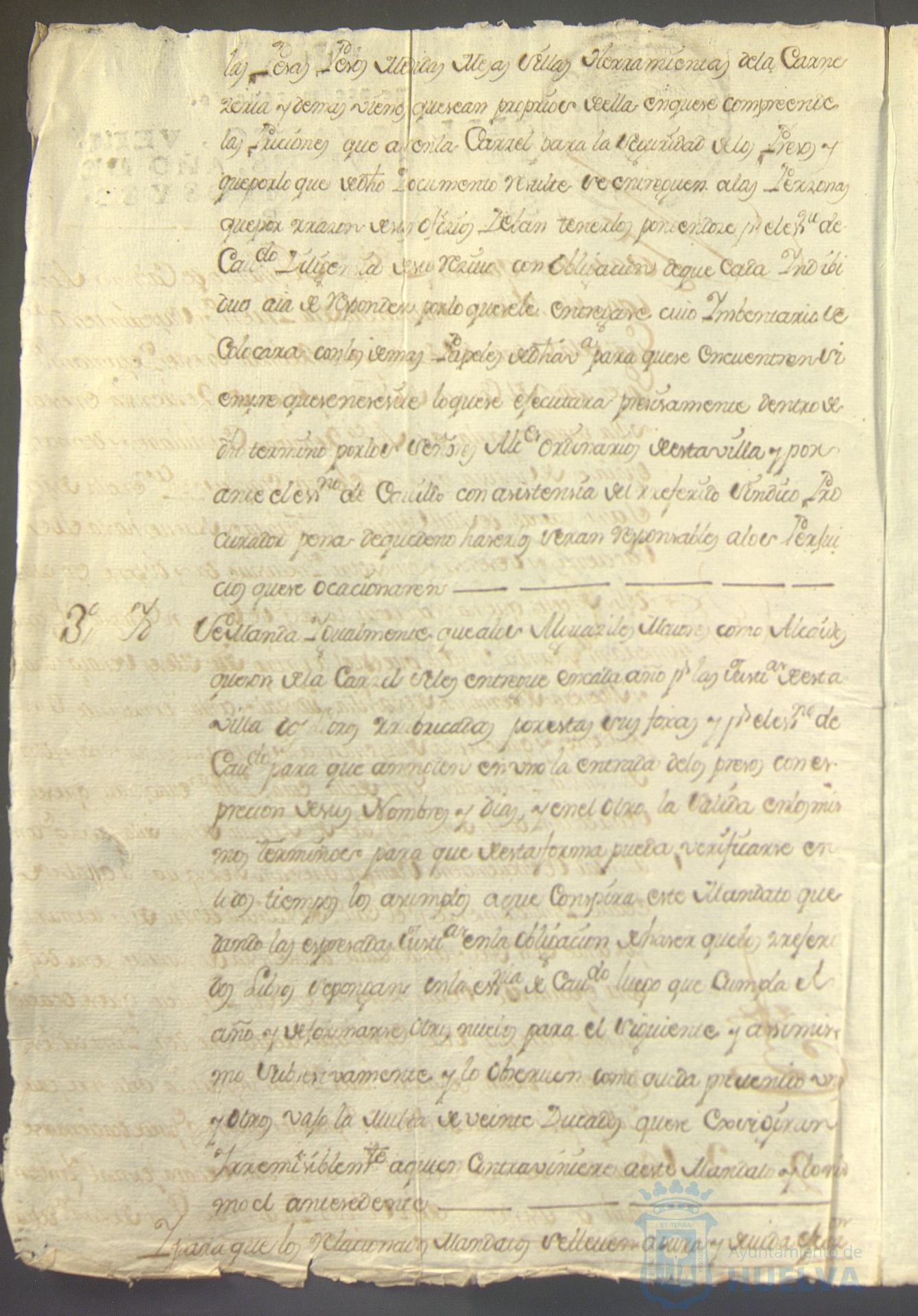 * Image 31