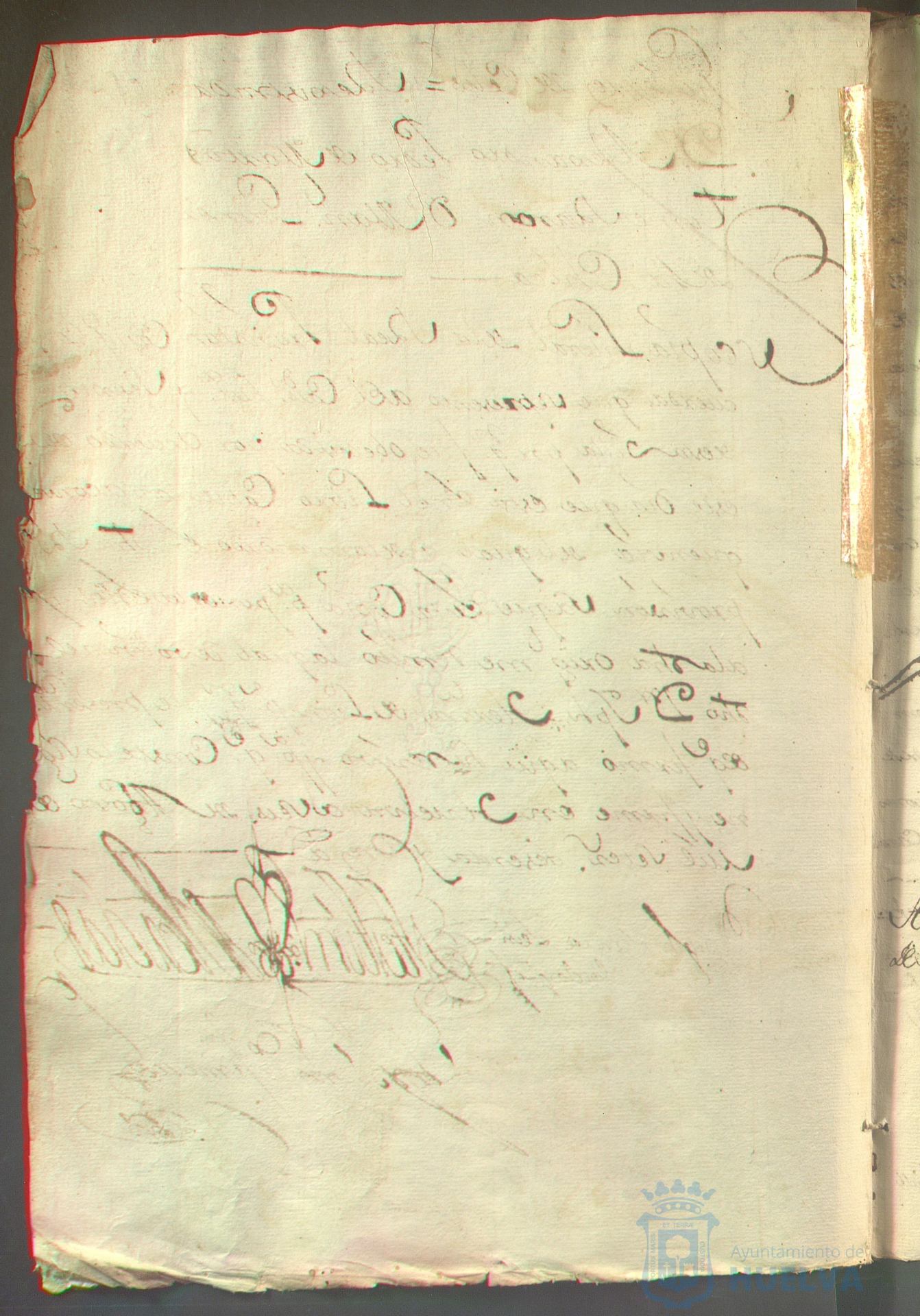 * Image 131