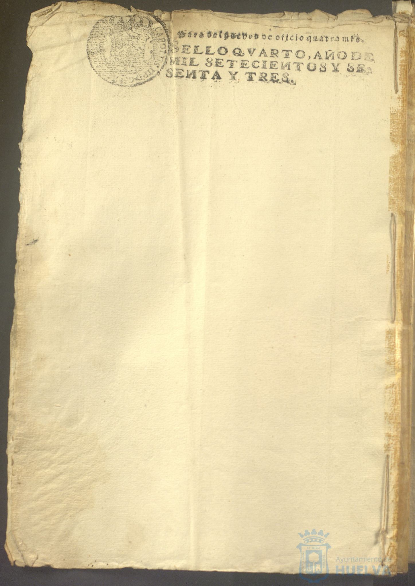 * Image 19