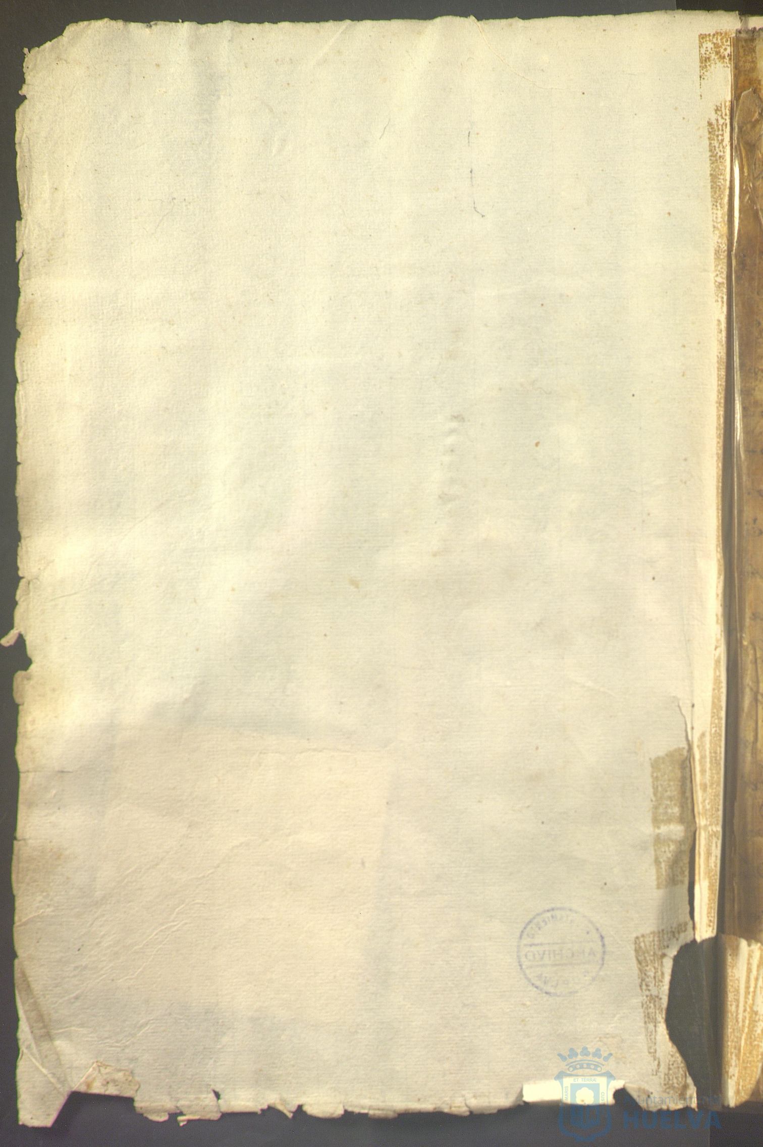 * Image 7
