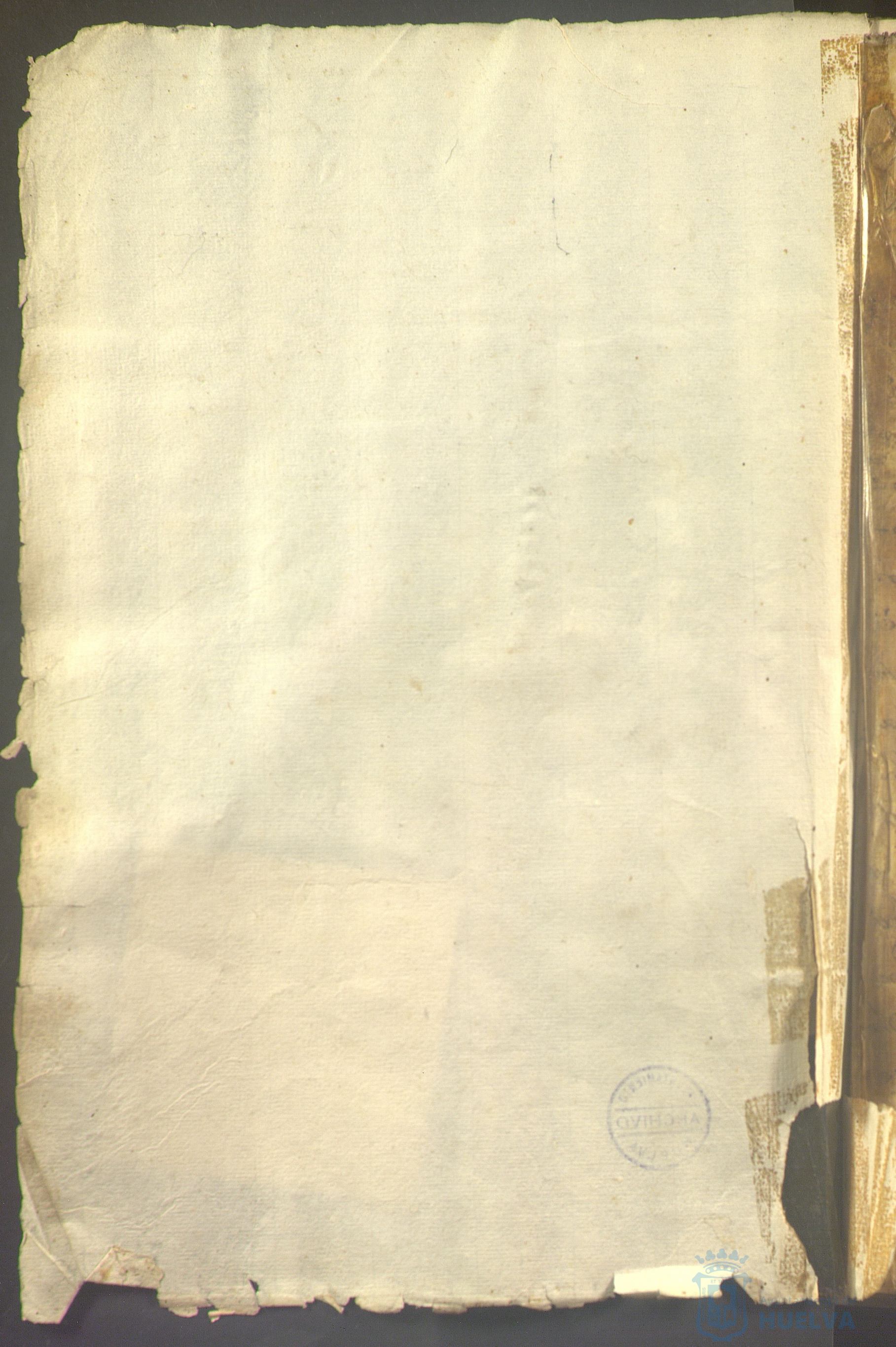 * Image 7