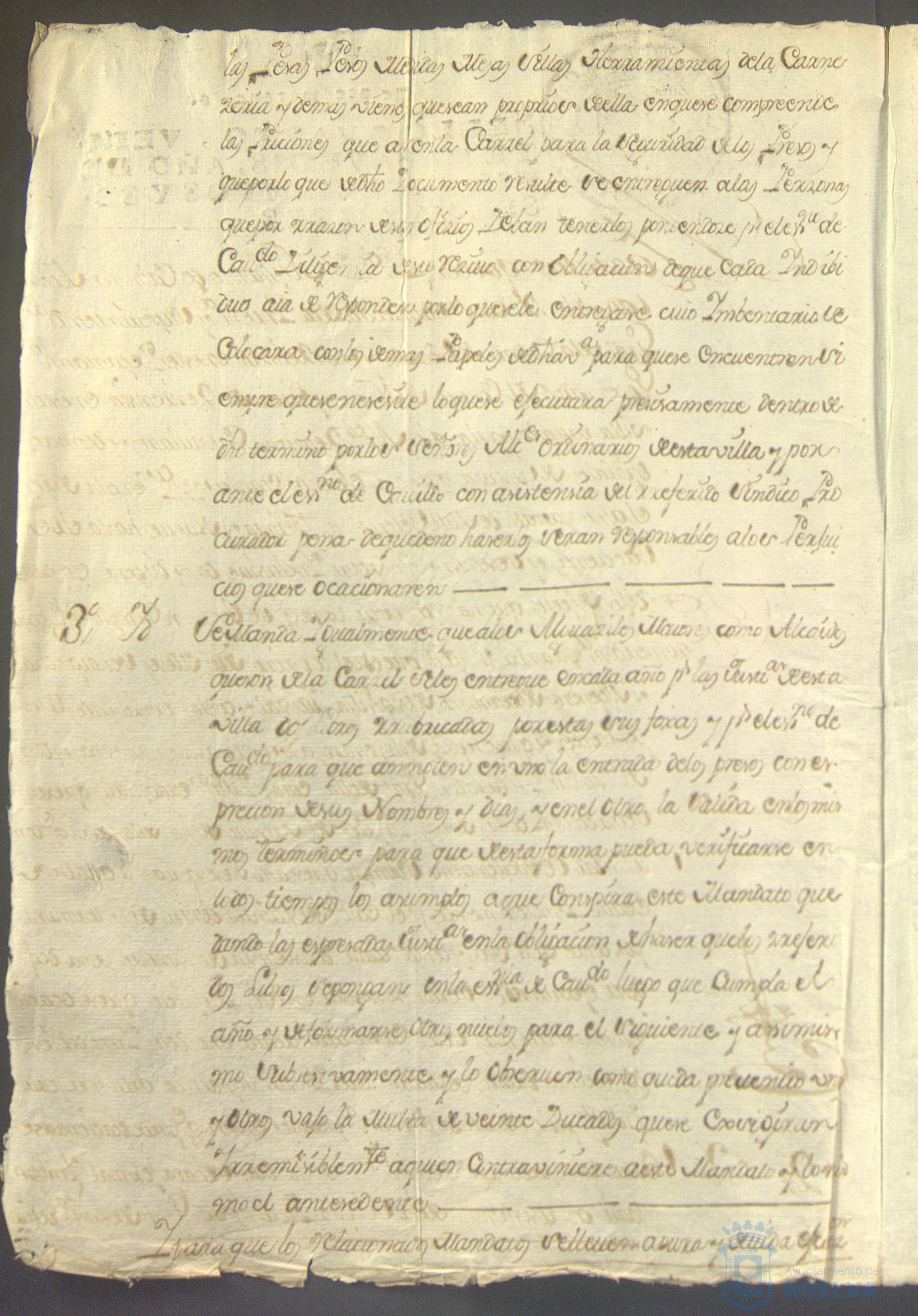 * Image 31