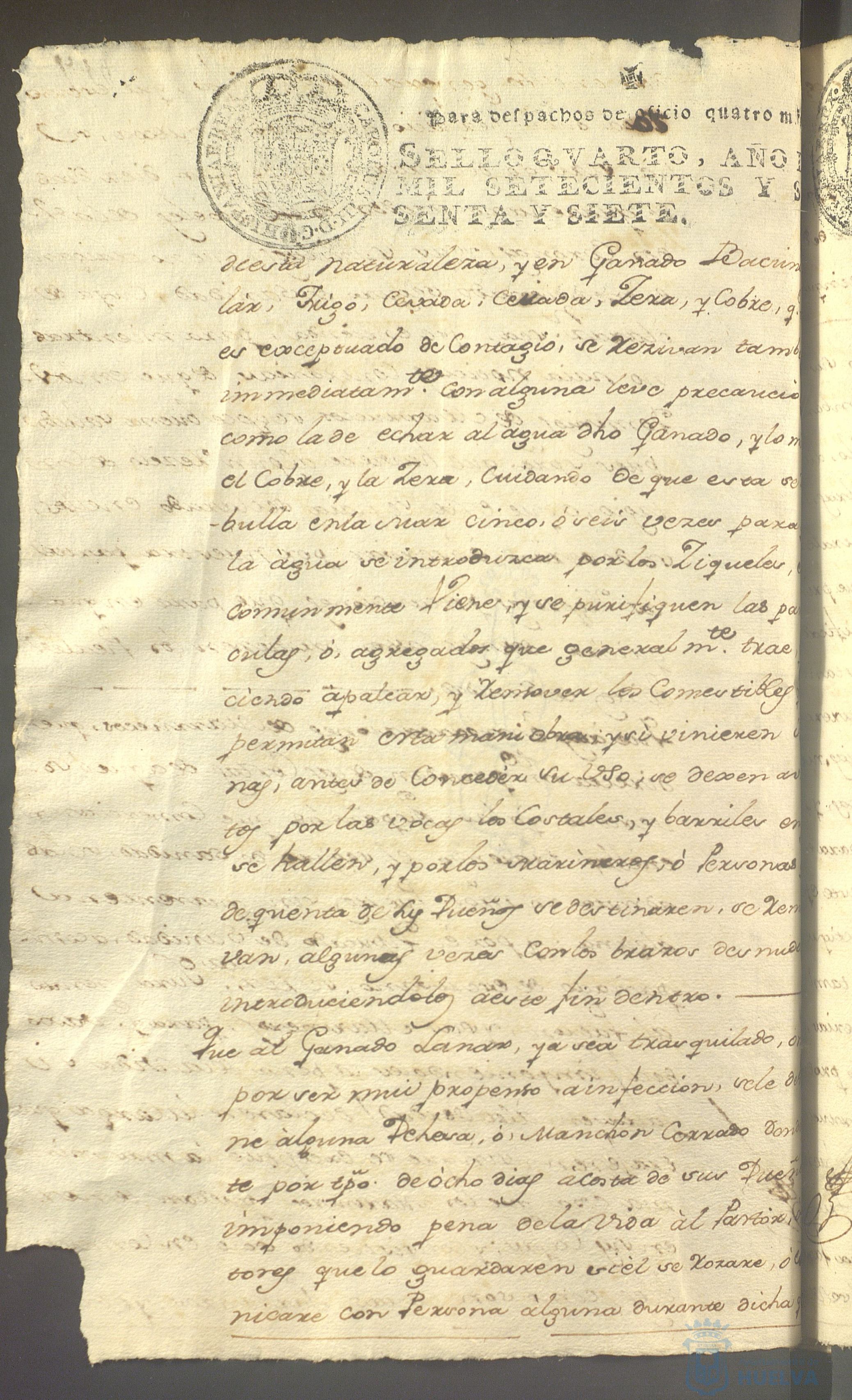 * Image 719