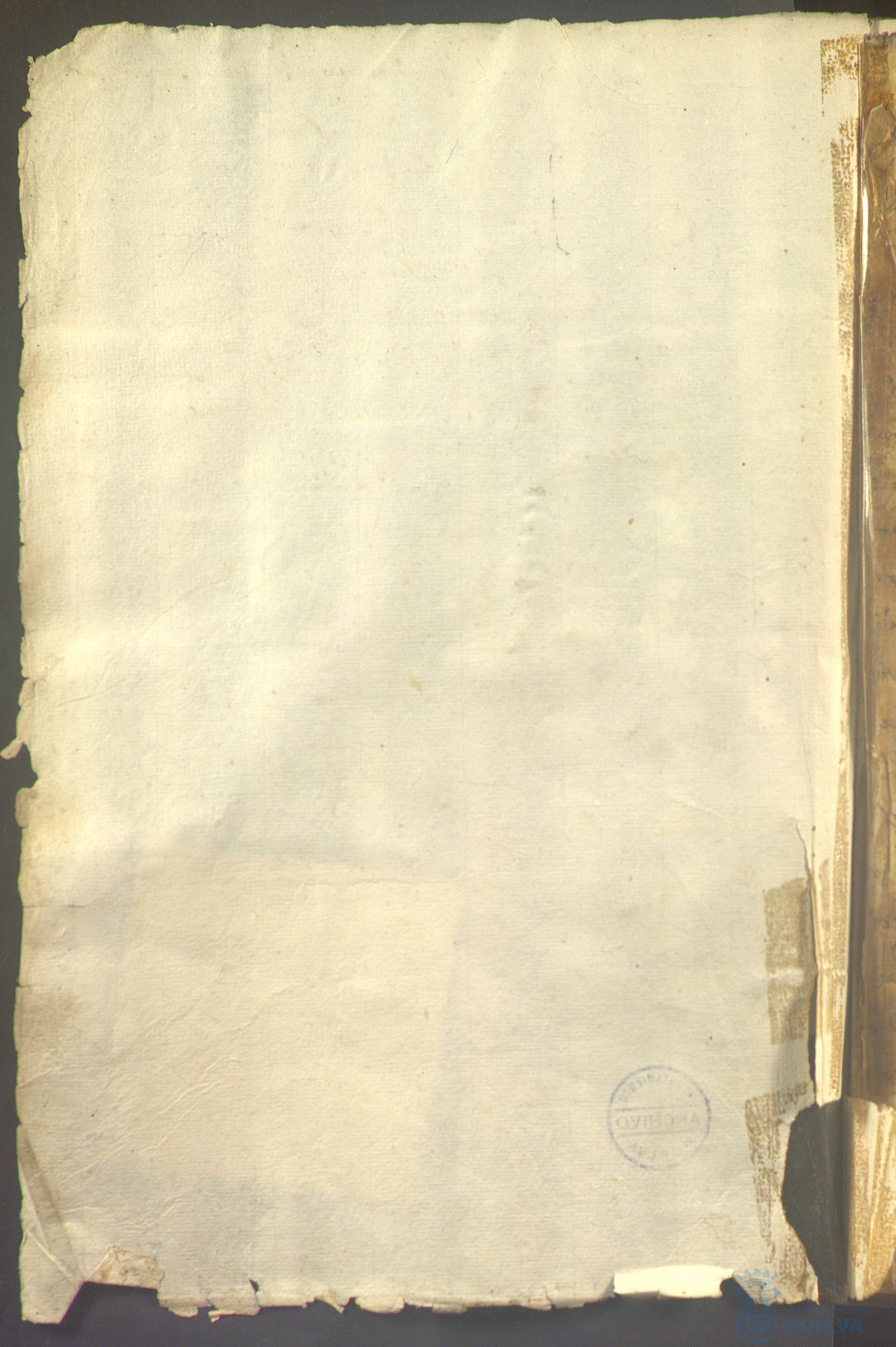 * Image 7