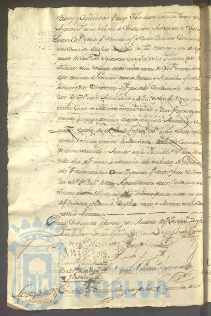 * Image 133