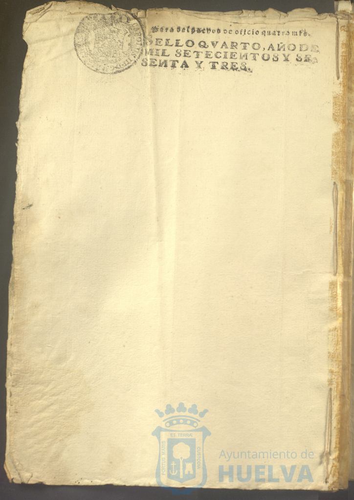 * Image 19