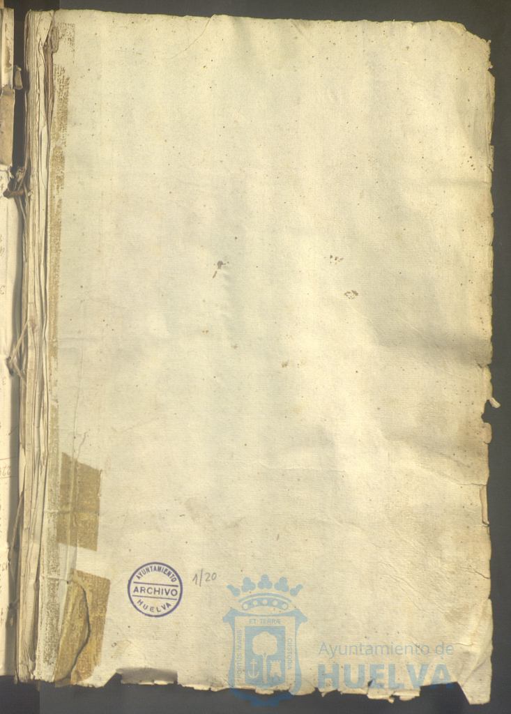 * Image 6