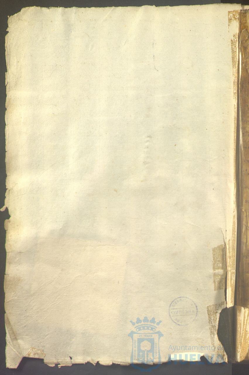 * Image 7