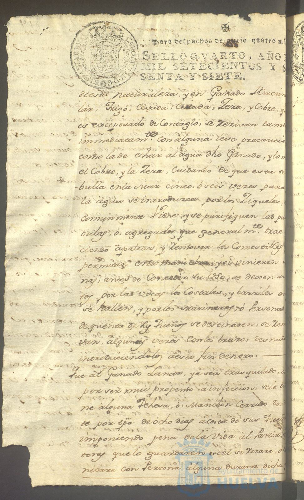 * Image 719
