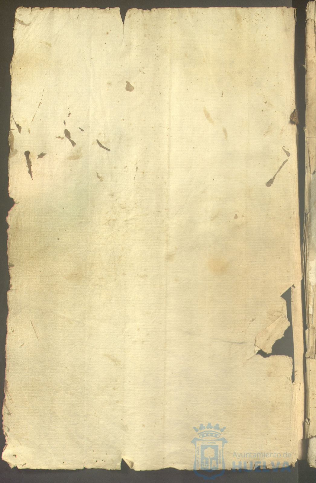 * Image 1023