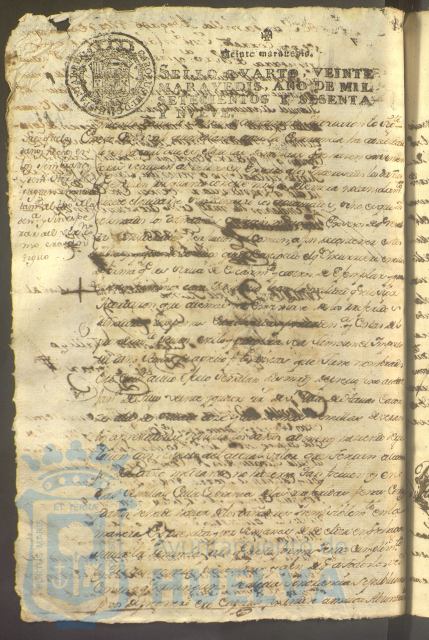 * Image 419