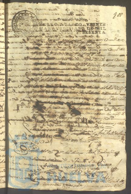 * Image 416