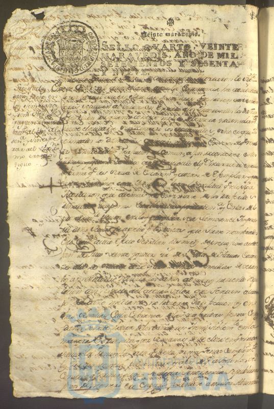 * Image 419