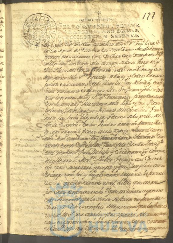 * Image 370