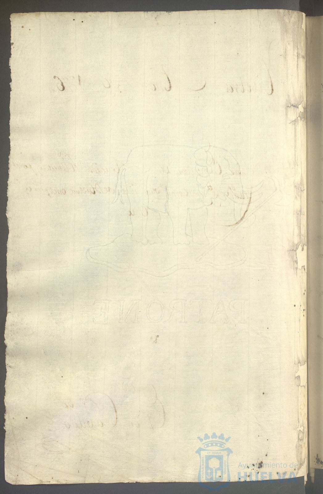 * Image 435