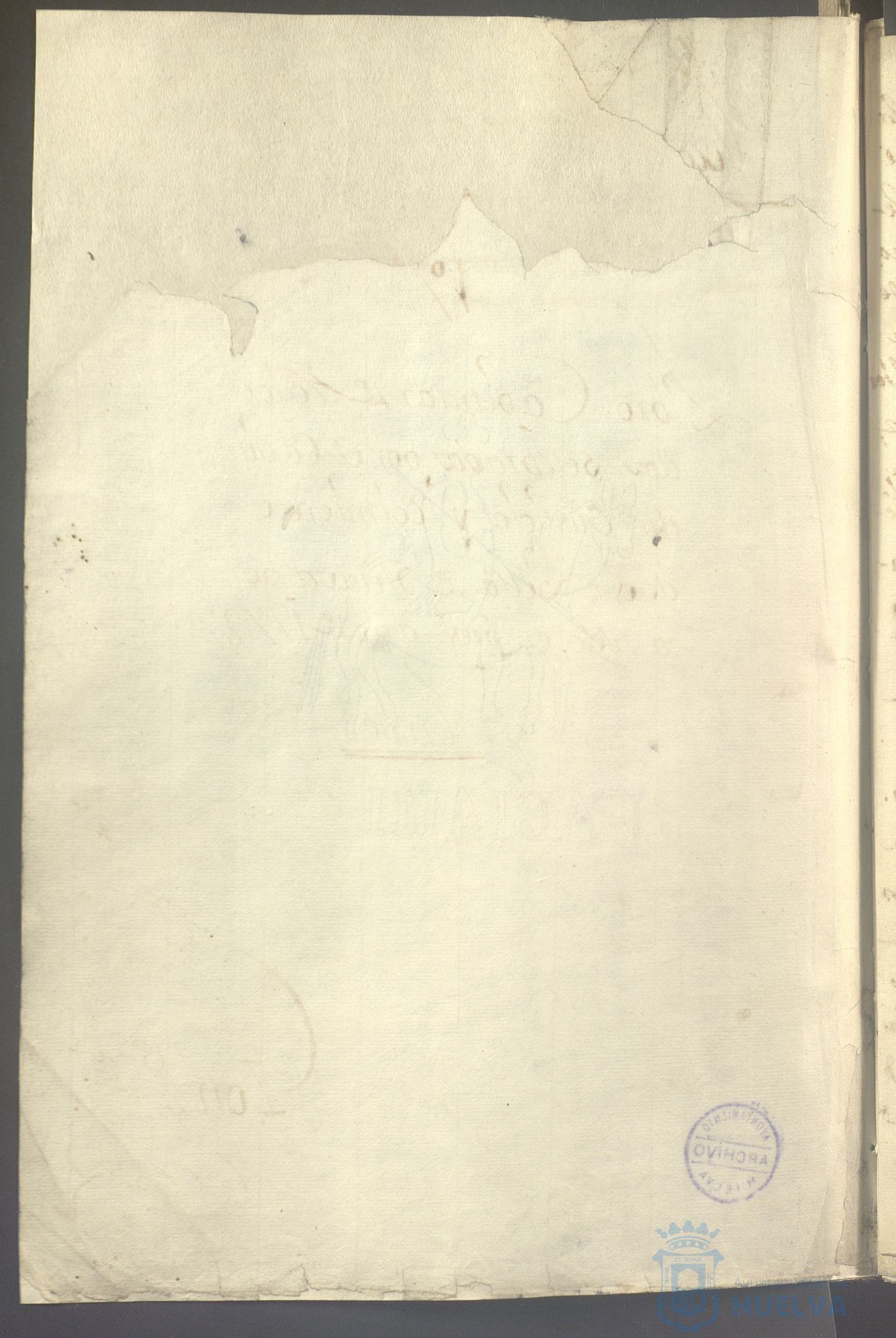 * Image 7