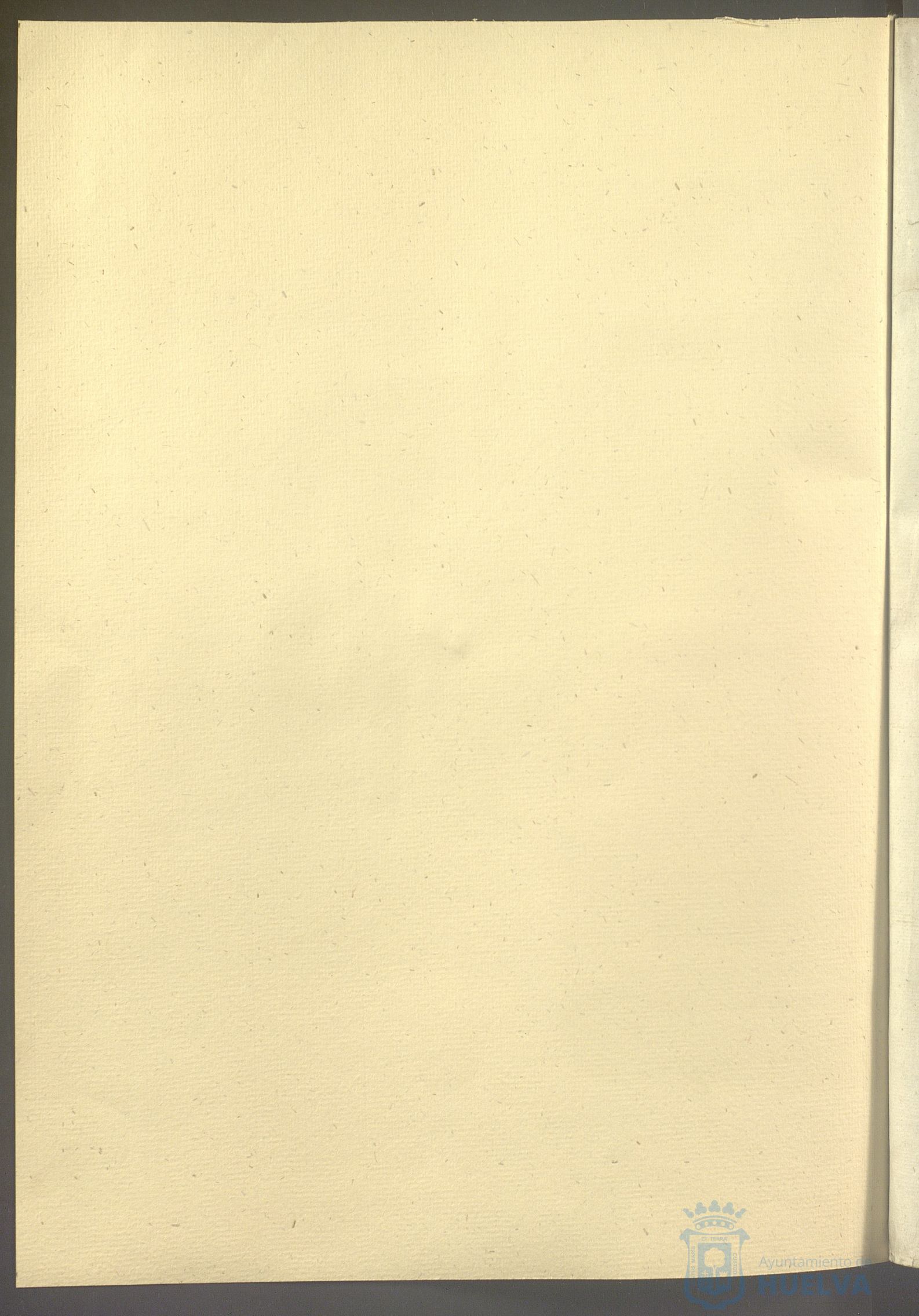 * Image 5