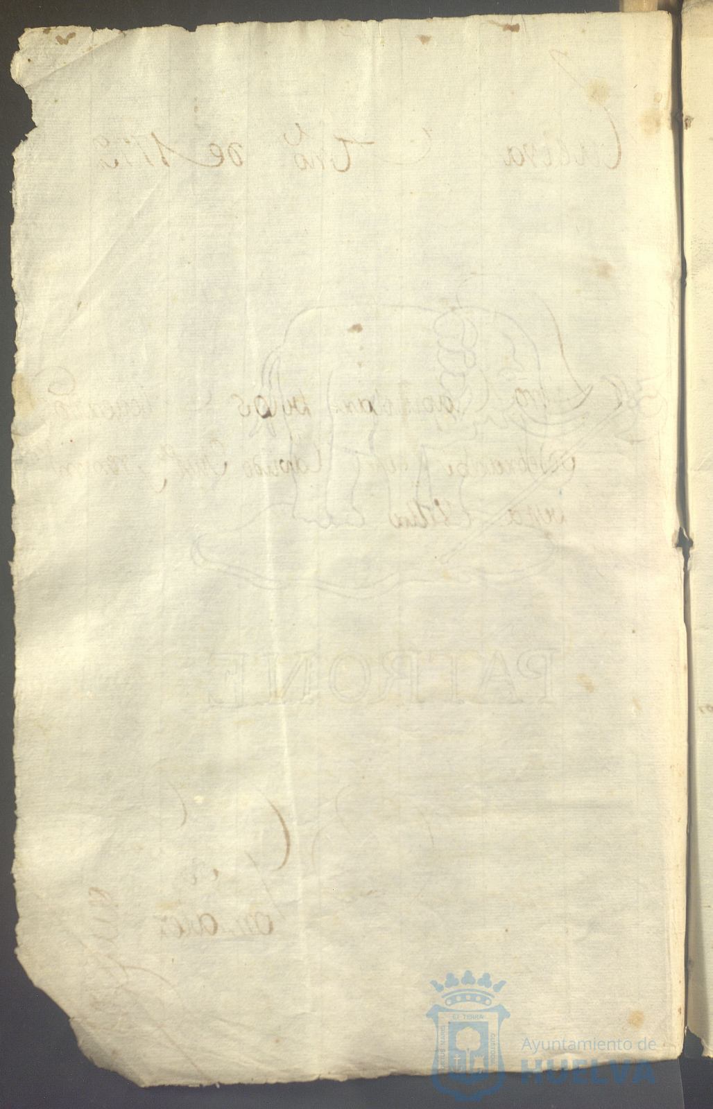 * Image 5