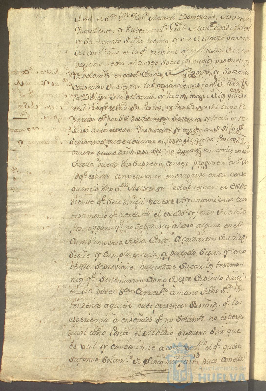 * Image 313
