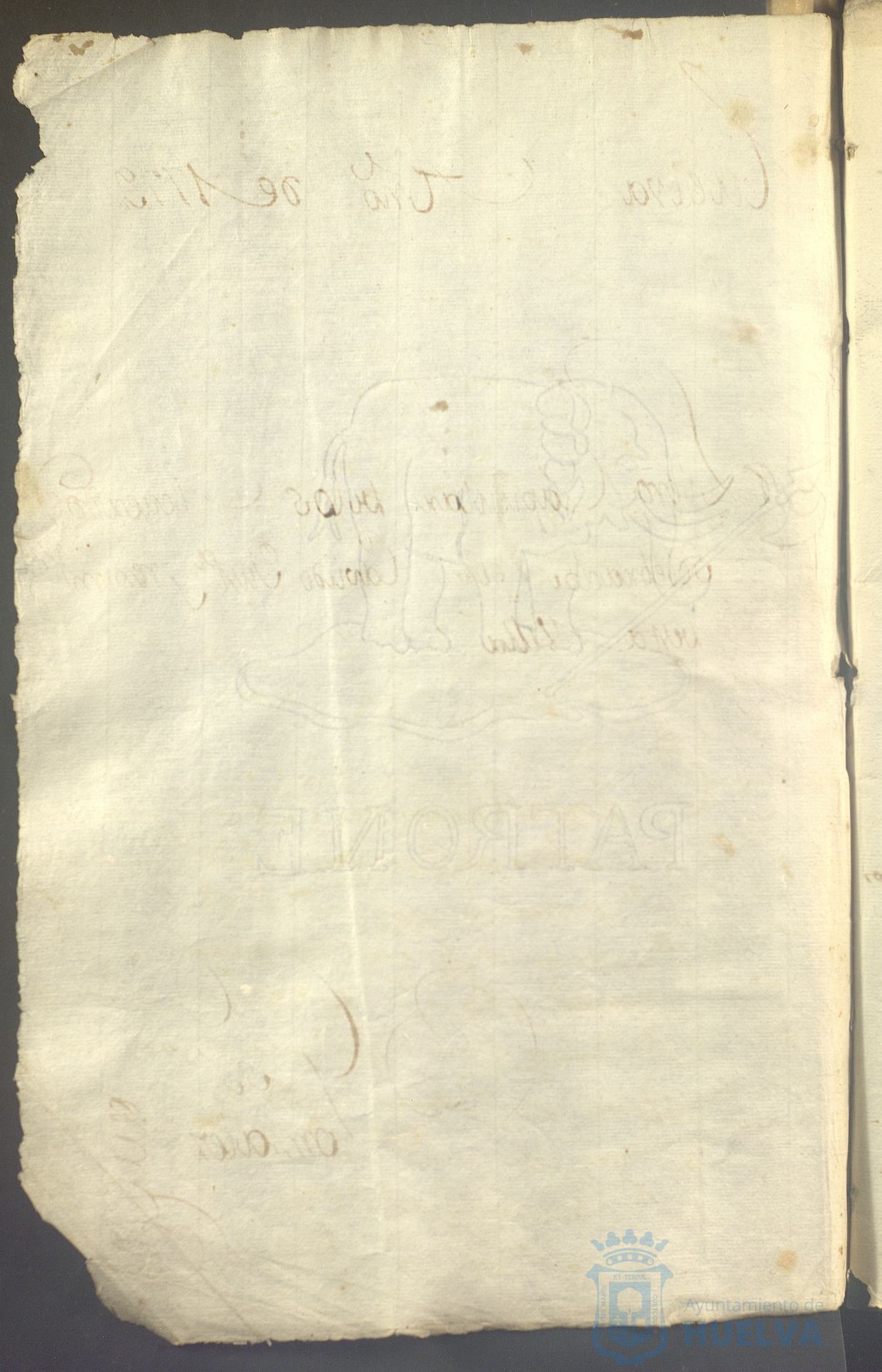 * Image 5