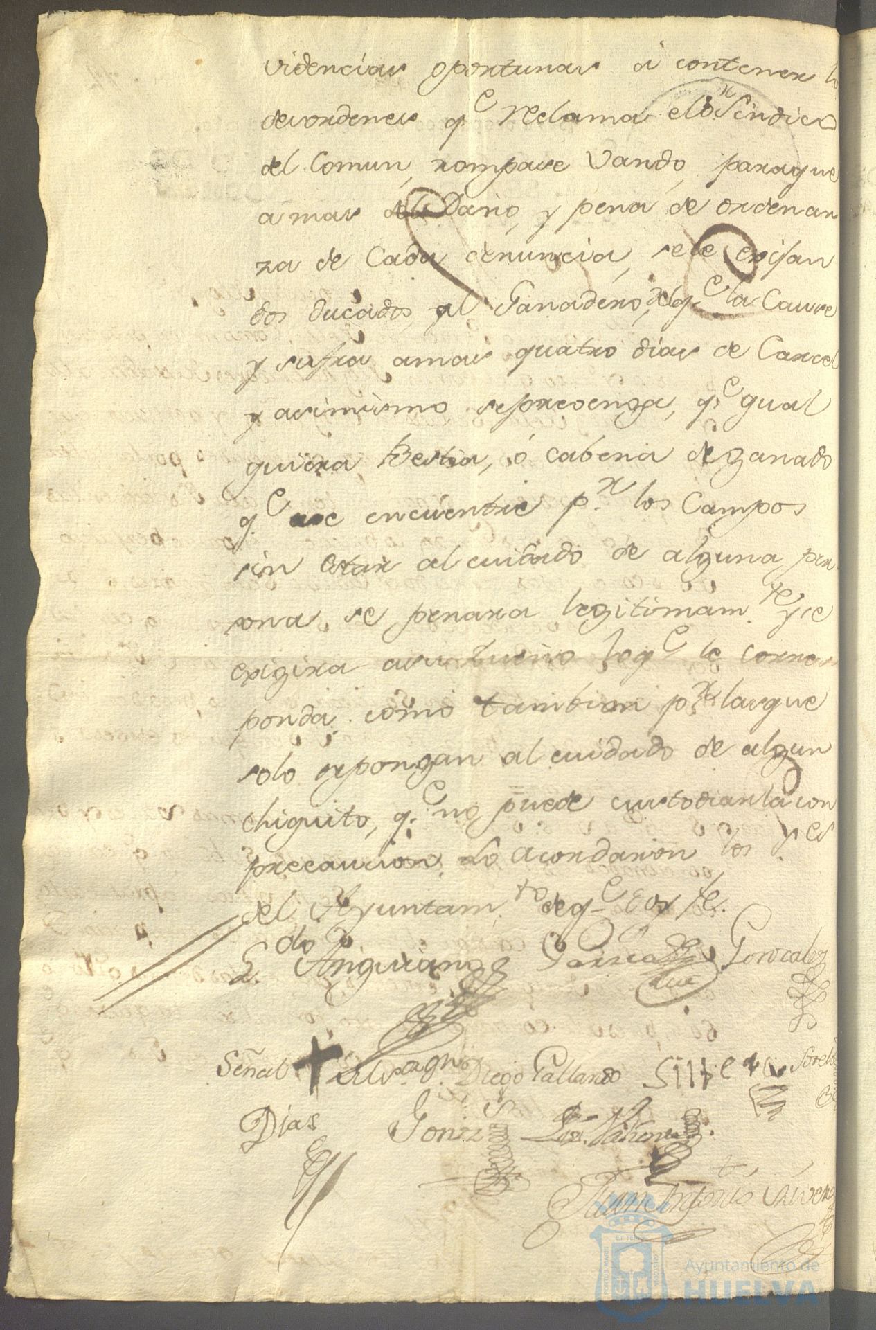 * Image 203