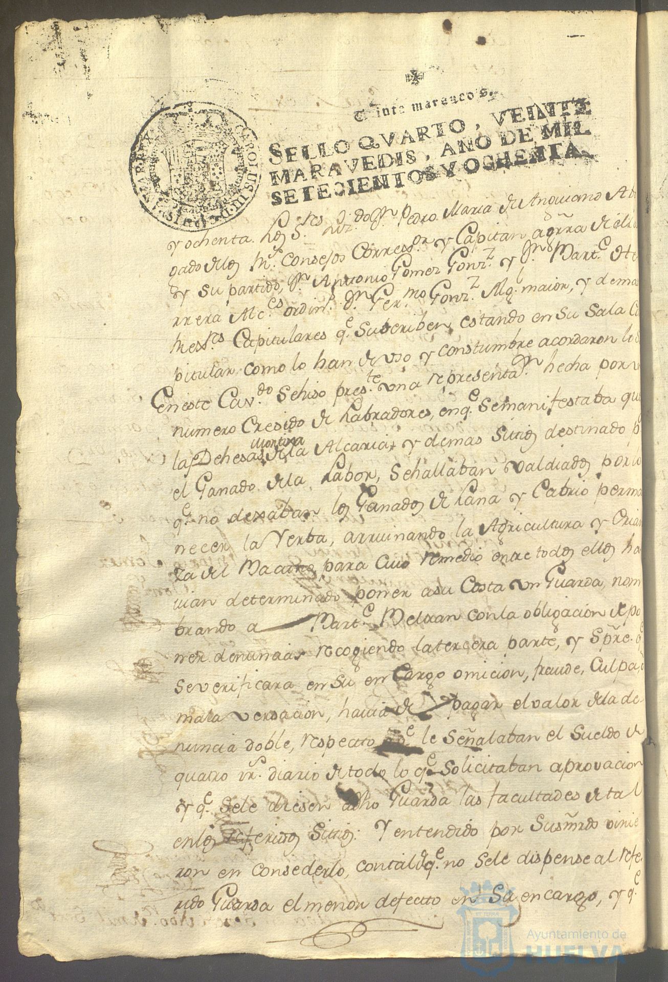 * Image 135
