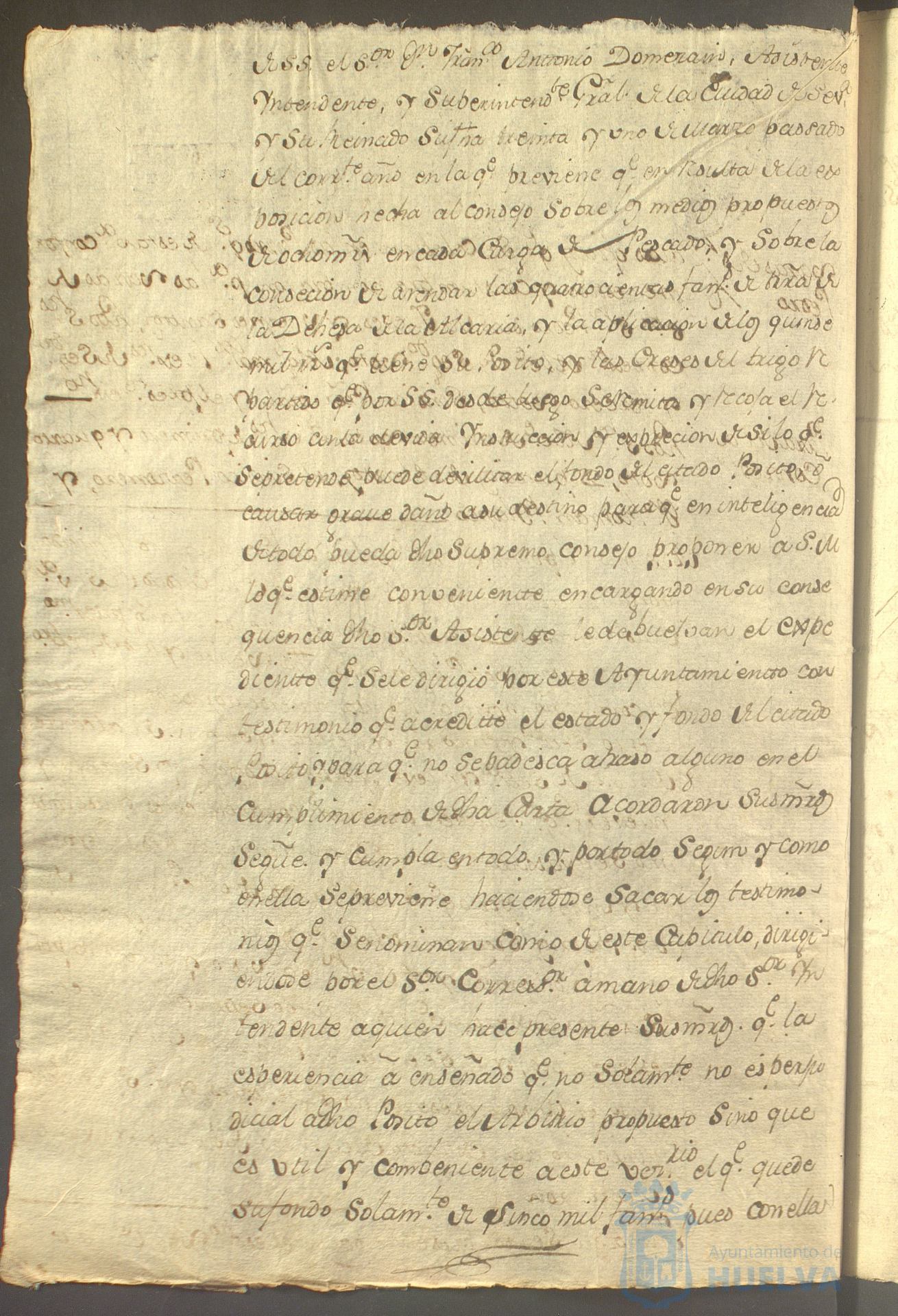 * Image 313