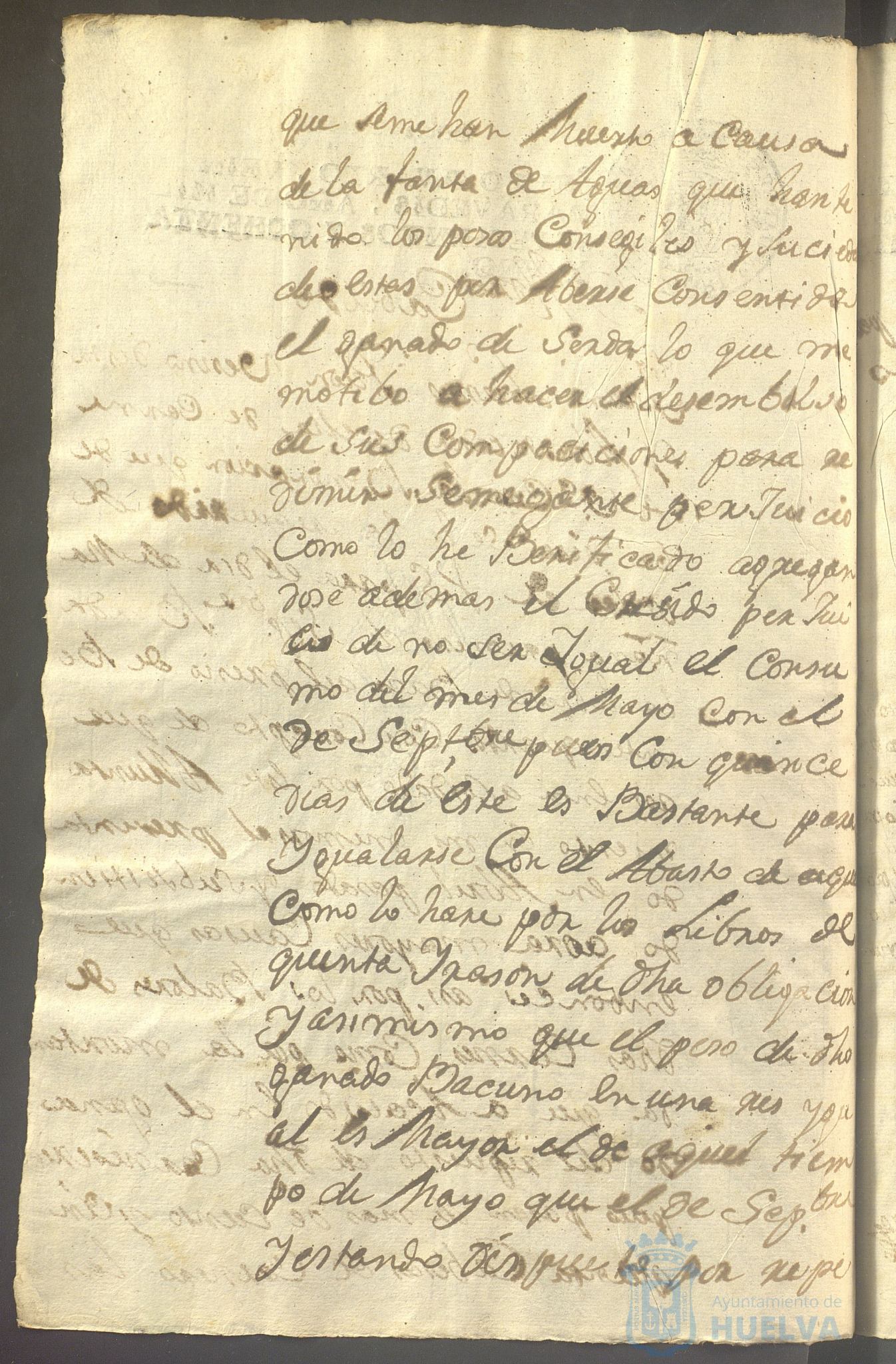 * Image 225
