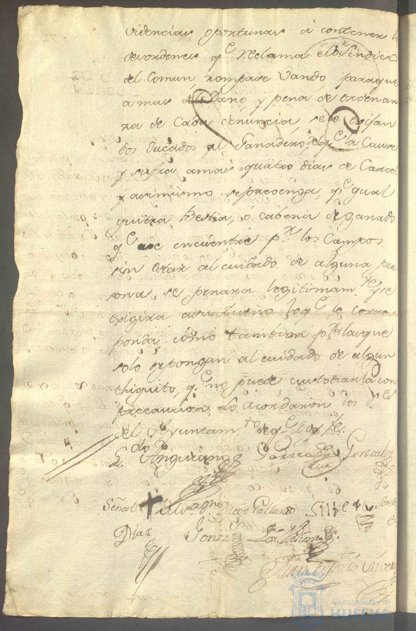 * Image 203