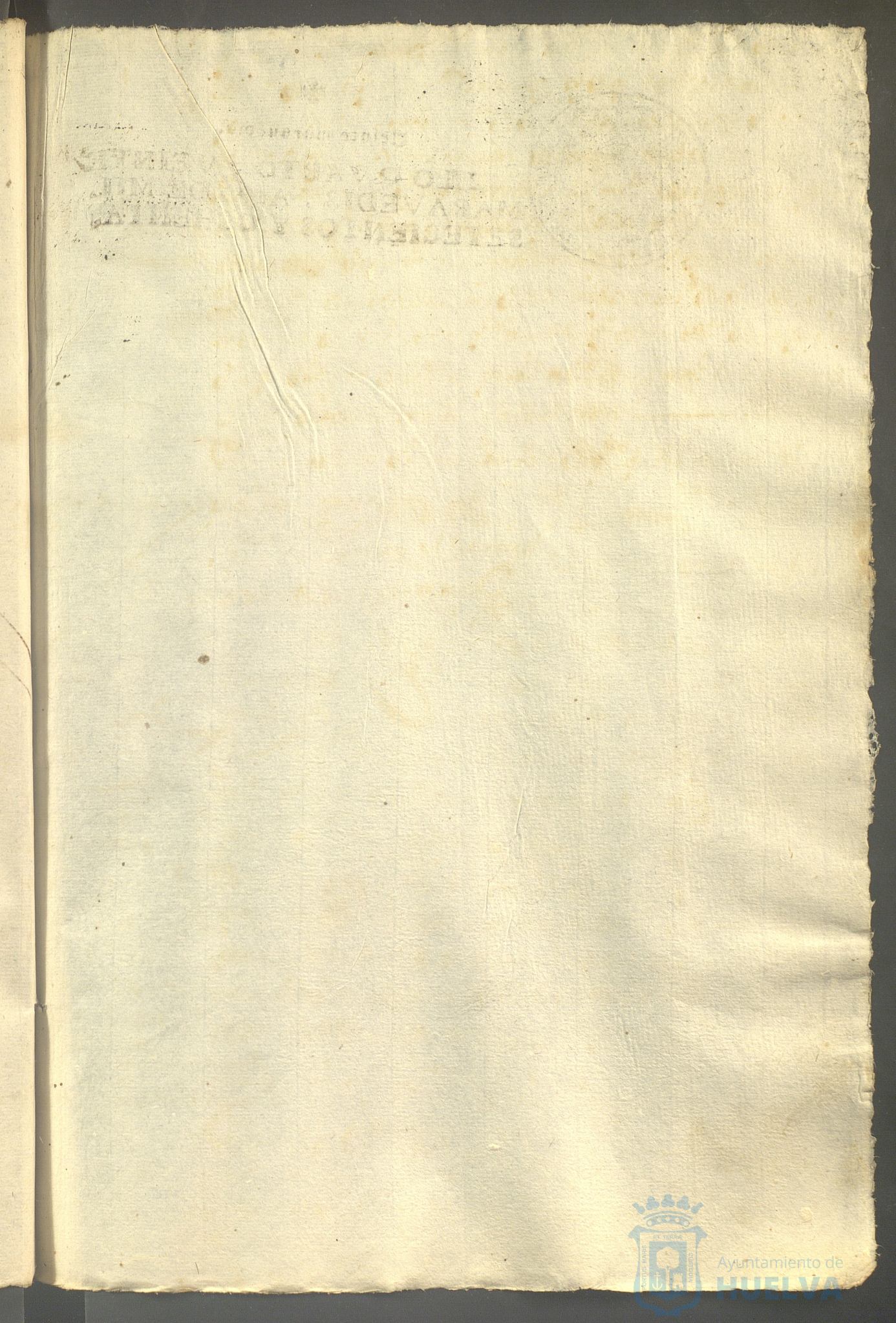 * Image 142