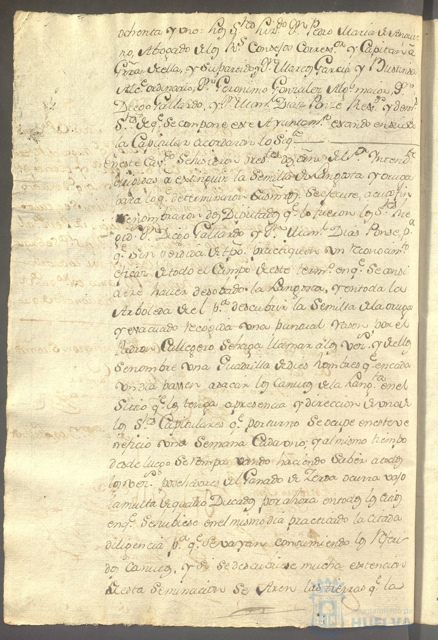 * Image 283