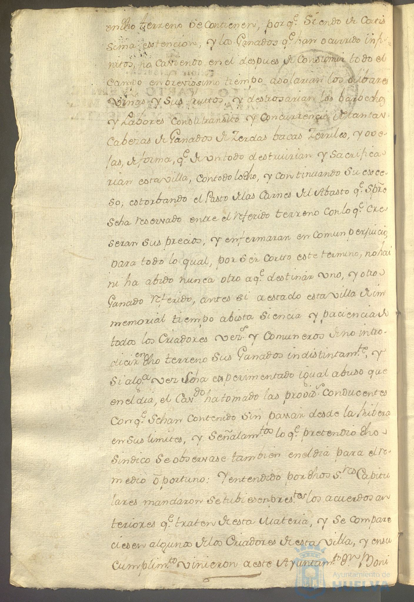 * Image 115