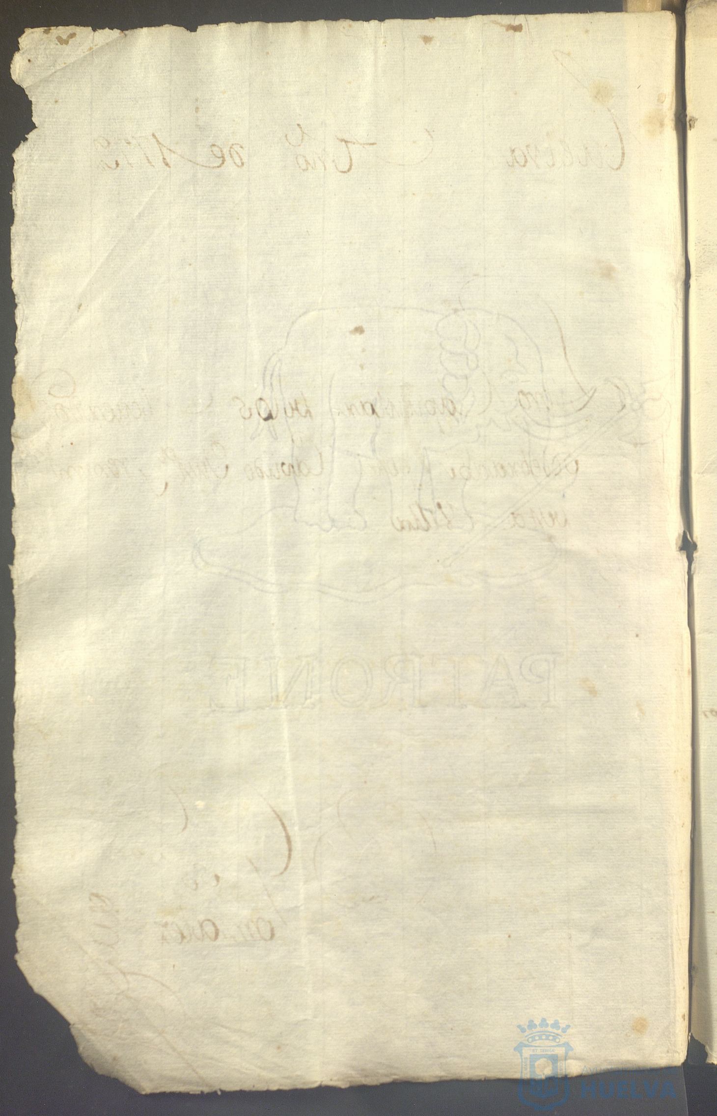 * Image 5