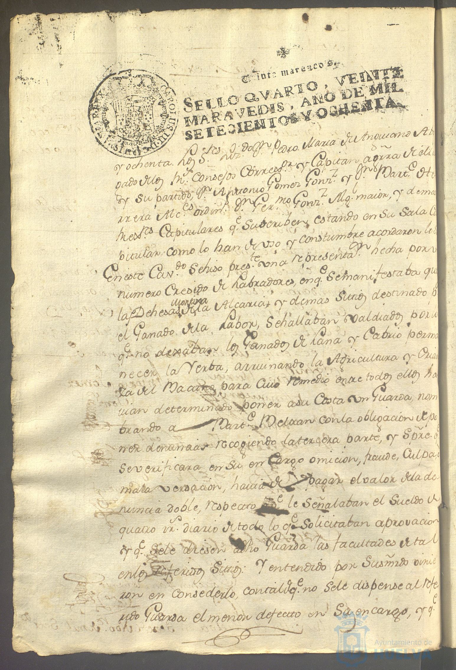 * Image 135