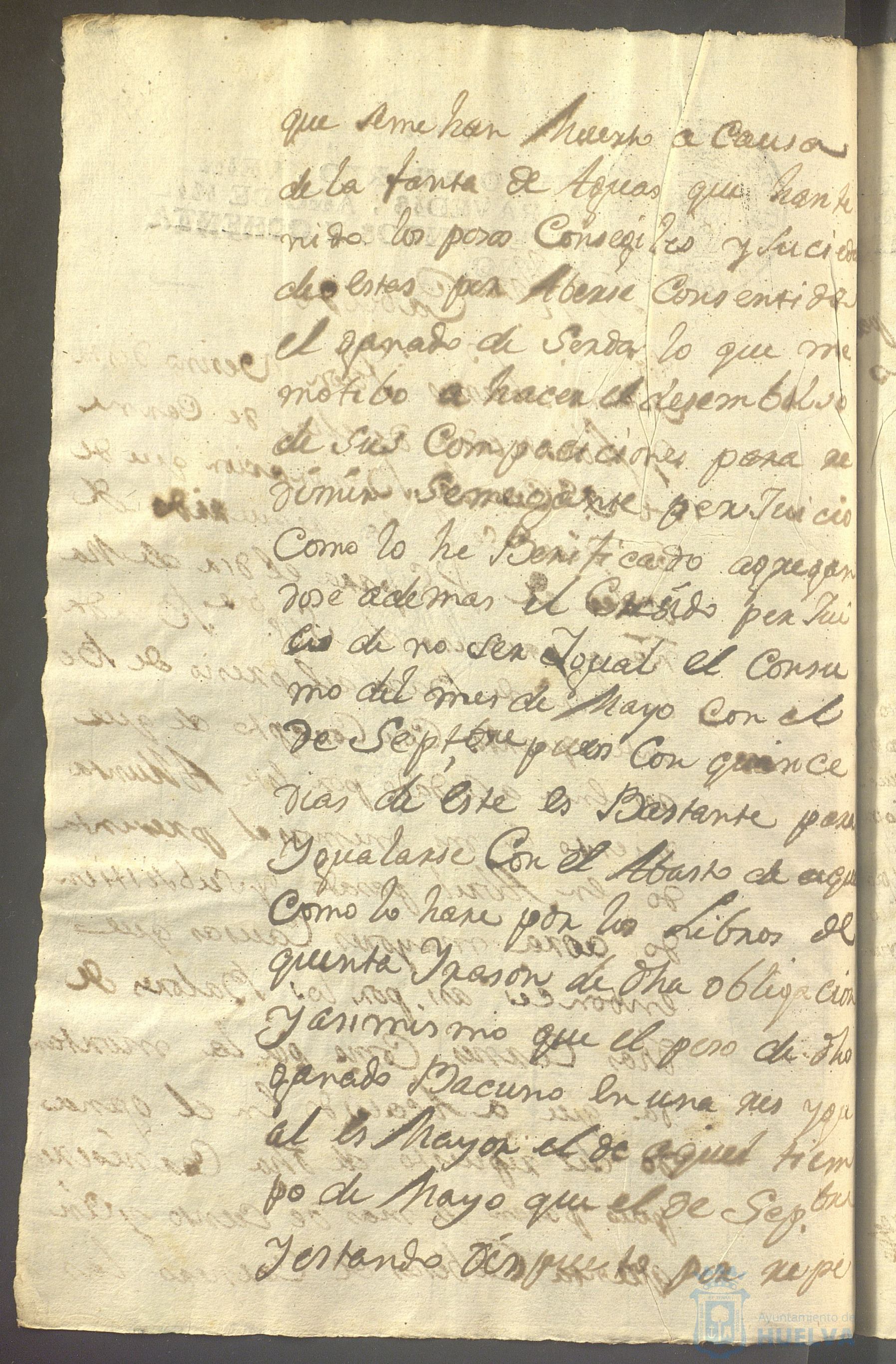 * Image 225