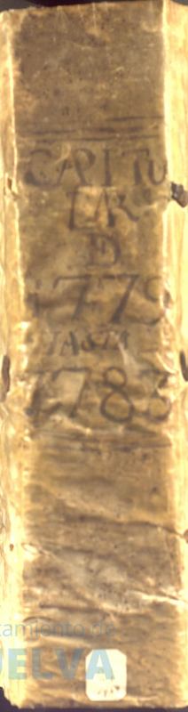 * Image 1