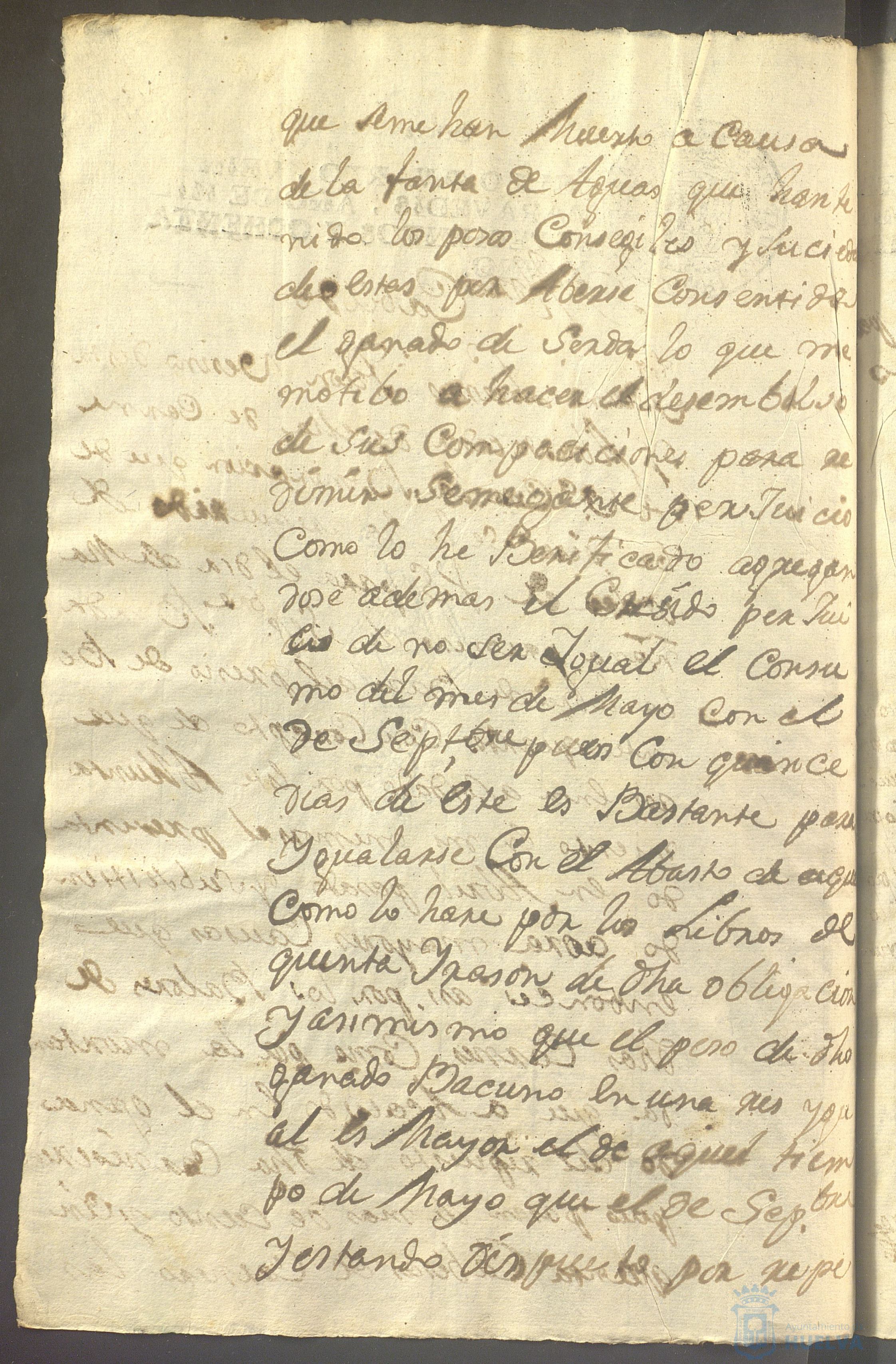 * Image 225