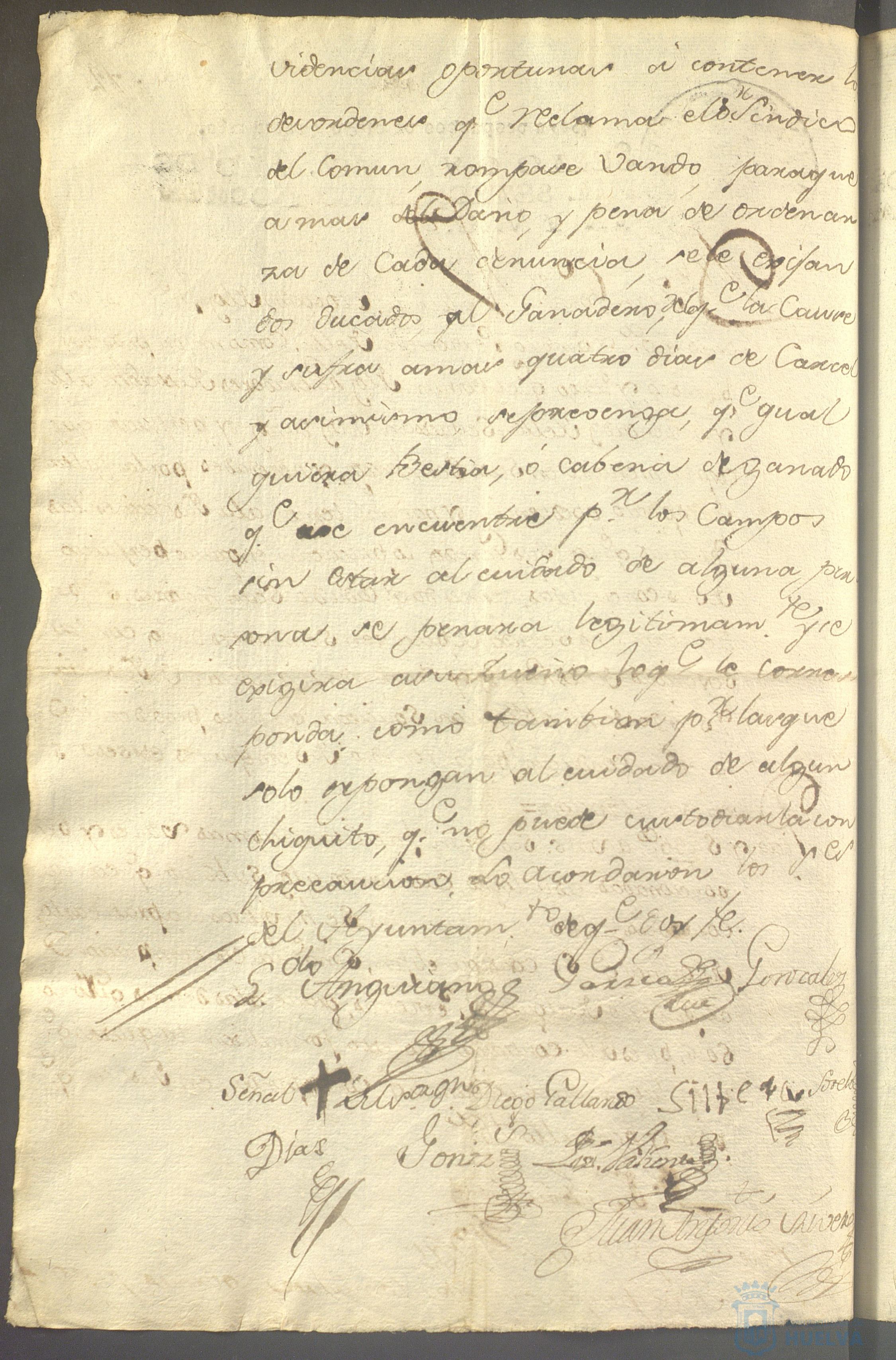* Image 203