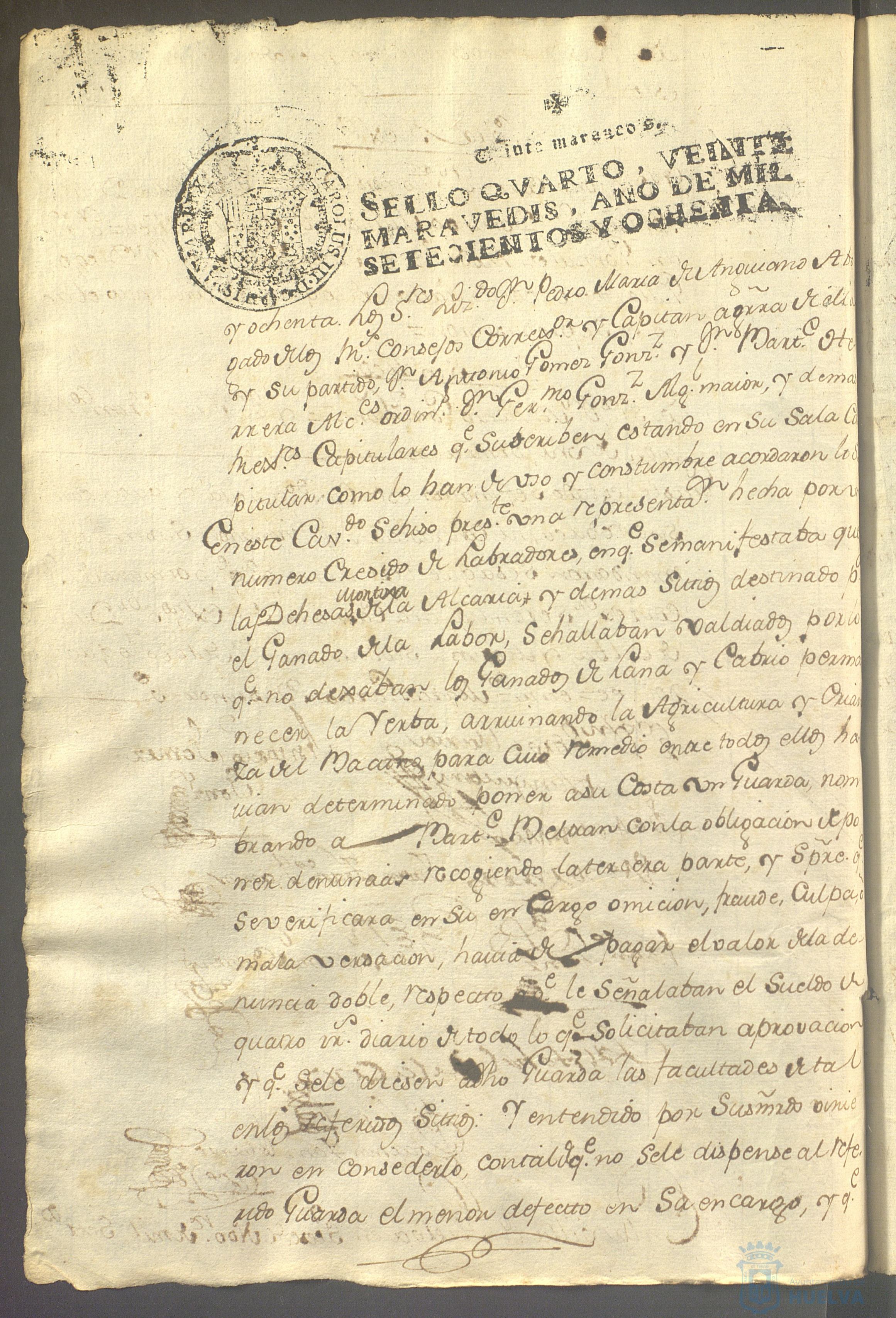 * Image 135
