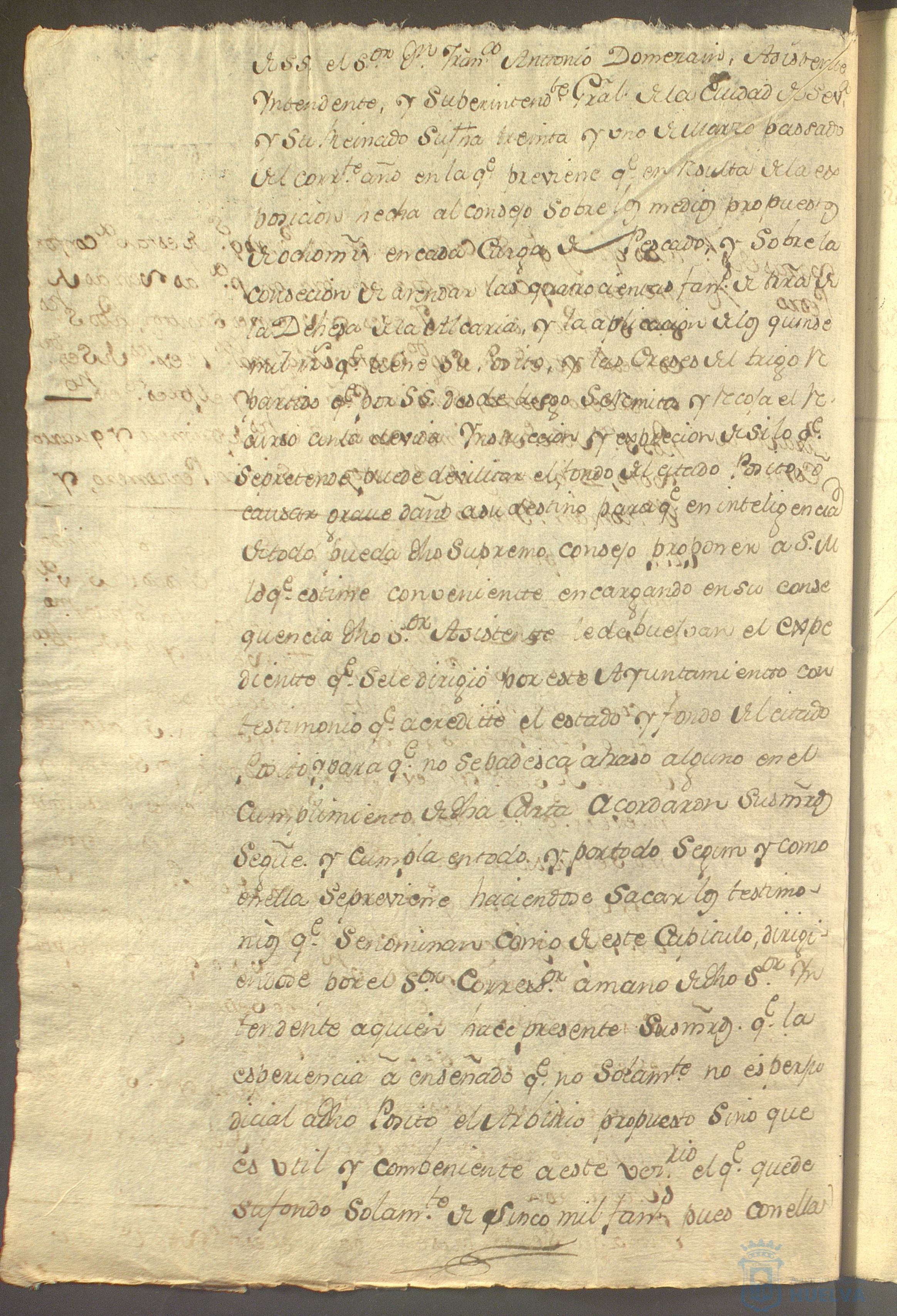 * Image 313