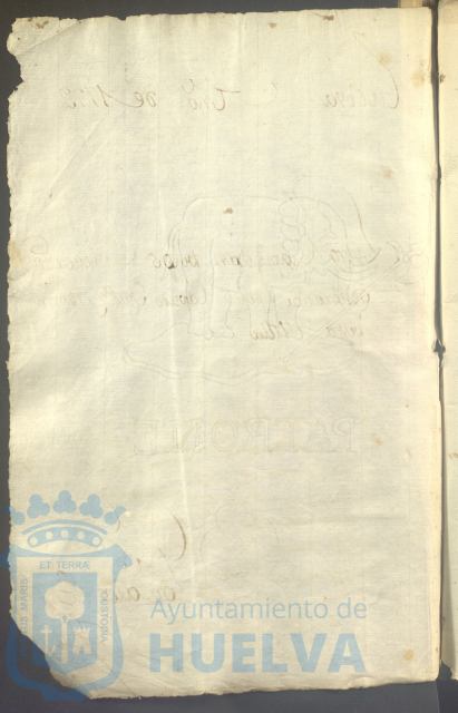 * Image 5