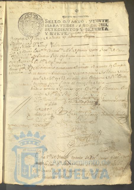 * Image 12