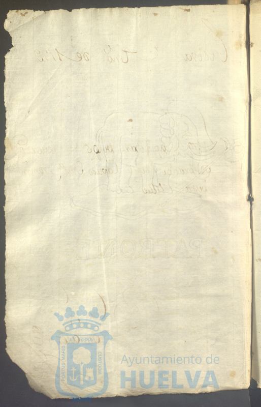 * Image 5