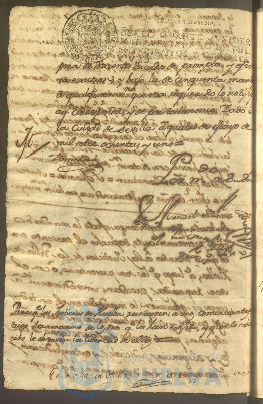 * Image 231